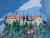 Olio su tela | 45x60 cm | 2006